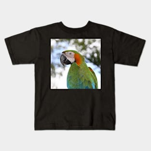 Harlequin Macaw Portrait Kids T-Shirt